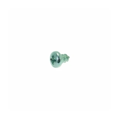 Thermostat Screw M2.9 x 4.5mm