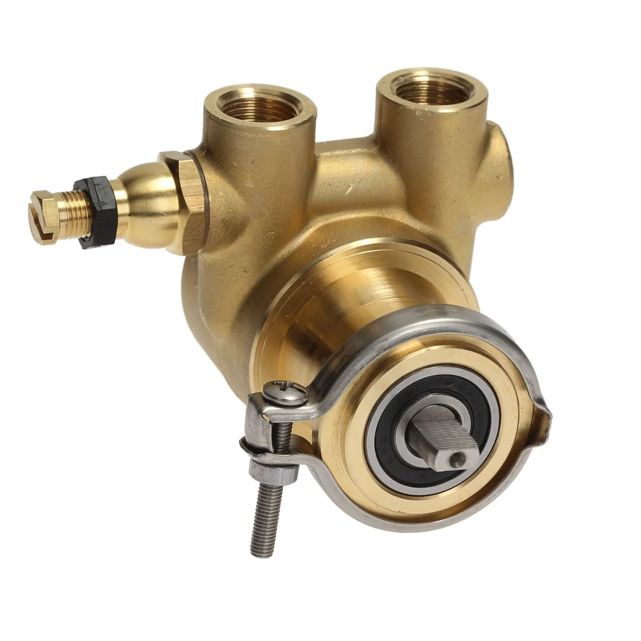 Fluid-O-Tech Rotoflow Rotary Vane Water Pump (50L/h) — SKU SKU01511-000-D5BE1A