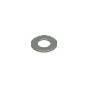 Rancilio Steam/Water Valve Washer