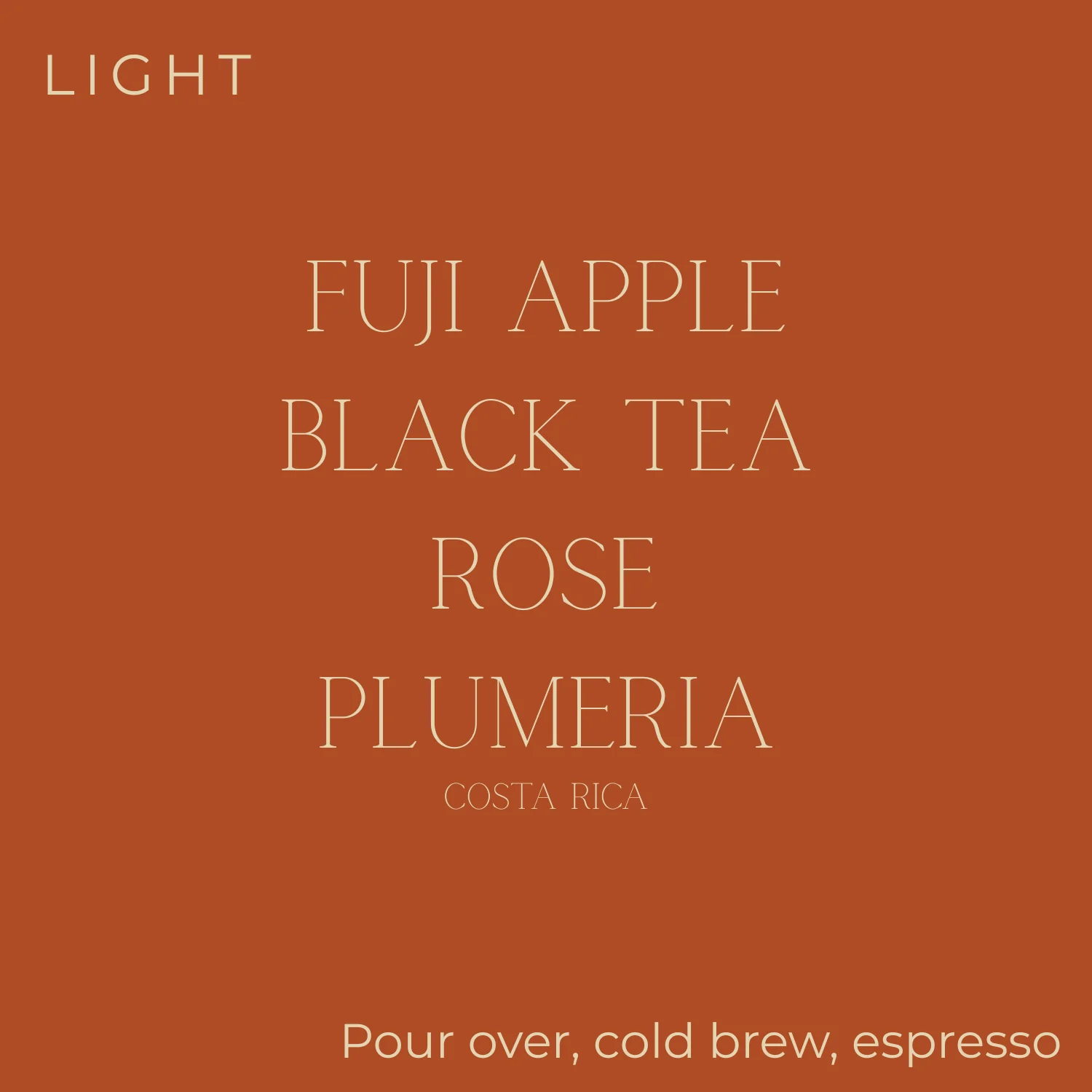 Too Good - Costa Rica - Fuji Honey Rosé Coffee Beans - Image 2