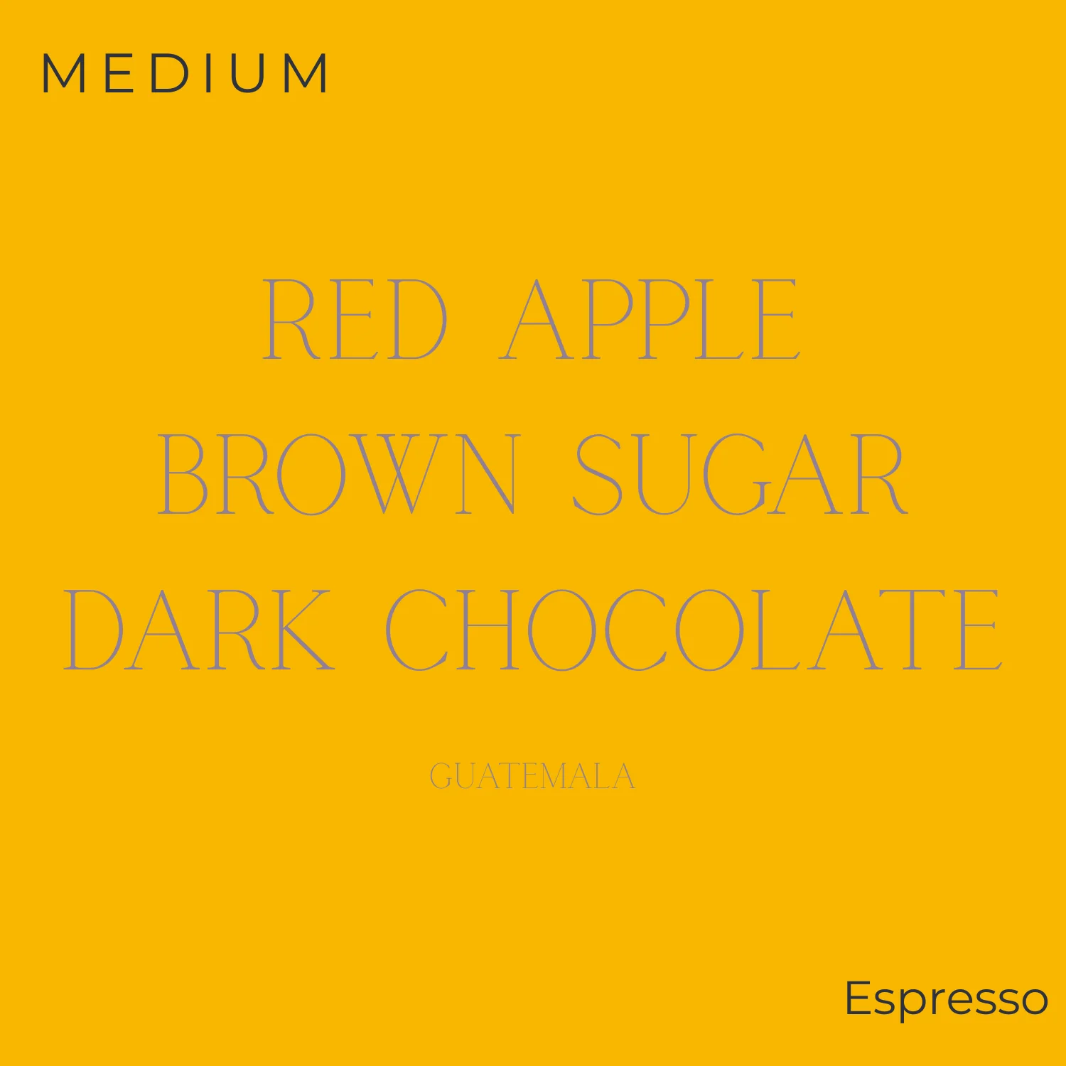 Thom Bargen Coffee Roasters Thom Bargen - Guatemala - Jabiru Union Espresso Coffee Beans - Image 2