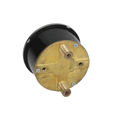 Double Scale Pressure Gauge - Image 2