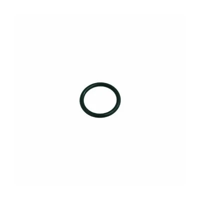 O-Ring 0160-20 EPDM
