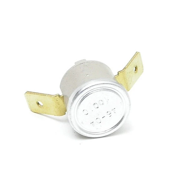 Rancilio 100 Degree Brew Temperature Thermostat