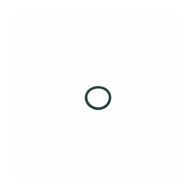 Solenoid Guide Viton O-Ring