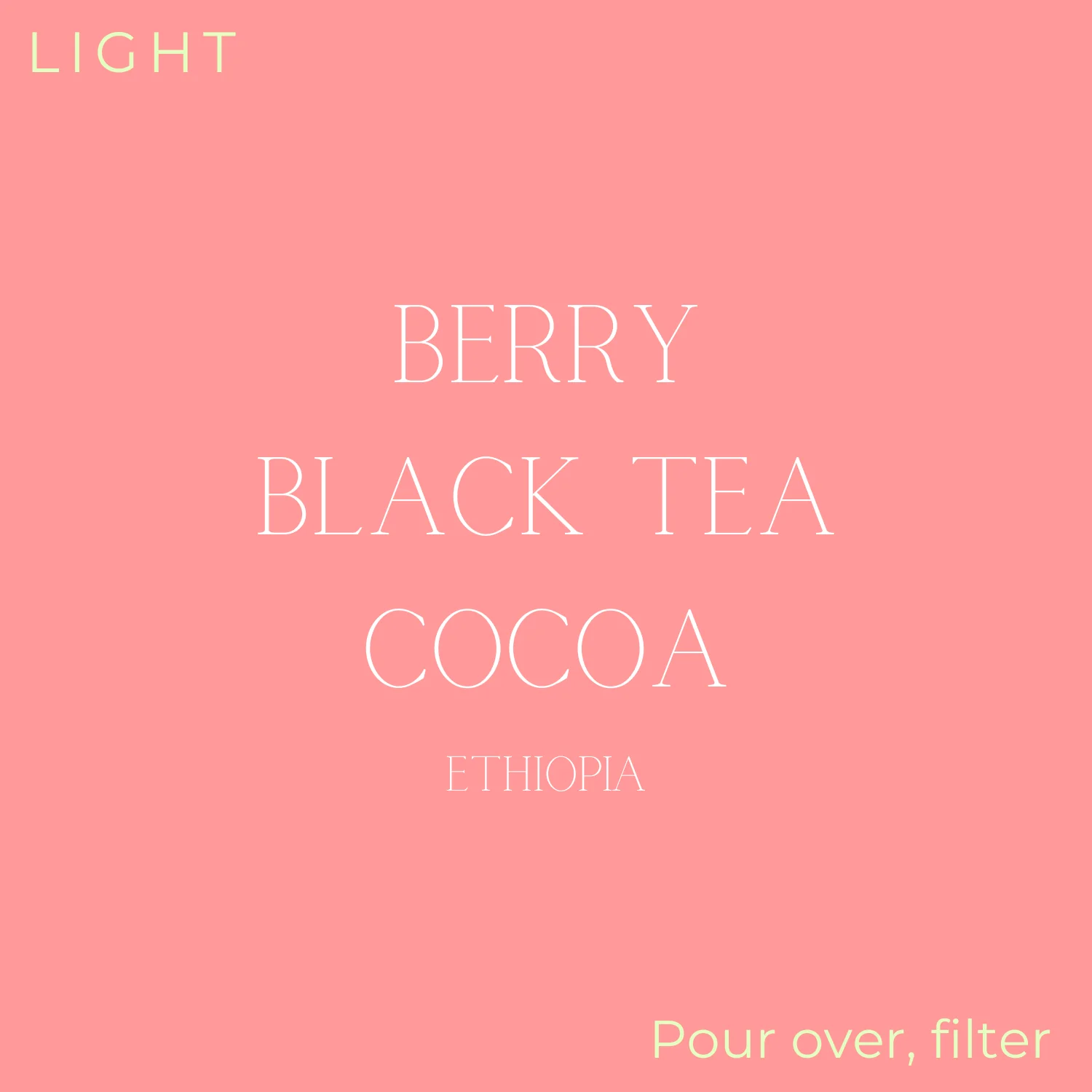Birdy Coffee Co. Birdy - Ethiopia - Abebe Godana Coffee Beans - Image 2