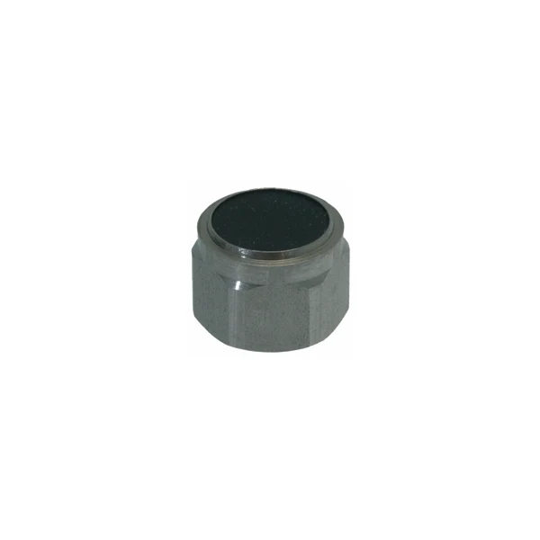 Rancilio Steam/Water Valve Piston with Gasket